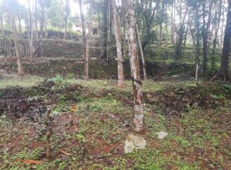 Residential Land for Sale in Kottayam, Kanjirapally, Manimala, Holy magi Forane church