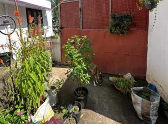 Residential House Villa for Sale in Trivandrum, Thiruvananthapuram, Thirumala, Valiyavila Mythri nagar