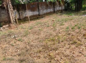 Commercial Land for Sale in Ernakulam, Aluva, Desam