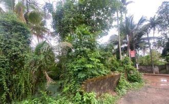 Residential Land for Sale in Ernakulam, Panangad, Panangad, Ollari road panagad