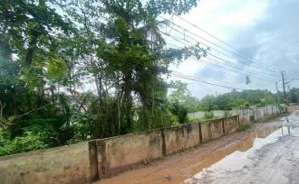 Residential Land for Sale in Ernakulam, Panangad, Panangad, Ollari road panagad