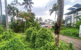 Residential Land for Sale in Ernakulam, Panangad, Panangad, Ollari road panagad