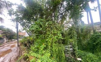 Residential Land for Sale in Ernakulam, Panangad, Panangad, Ollari road panagad