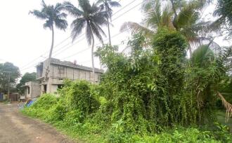 Residential Land for Sale in Ernakulam, Panangad, Panangad, Ollari road panagad