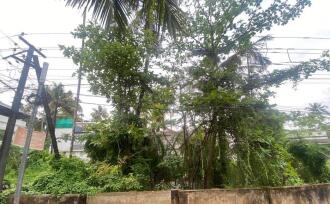 Residential Land for Sale in Ernakulam, Panangad, Panangad, Ollari road panagad