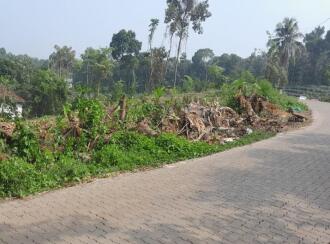 Residential Land for Sale in Ernakulam, Edappally, Edapally, MARY QUEEN CHURCH