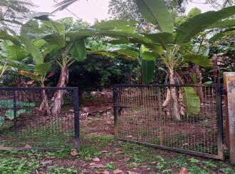 വാസയോഗ്യമായ ഭൂമി വില്പനയ്ക്ക് എറണാകുളം, Piravom, Piravom, palachuvadu