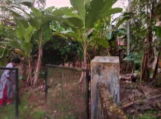 വാസയോഗ്യമായ ഭൂമി വില്പനയ്ക്ക് എറണാകുളം, Piravom, Piravom, palachuvadu