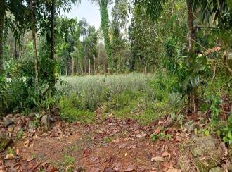 Residential Land for Sale in Kottayam, Ettumanoor, Ettumanoor, 200 Meters from Nambiakulam Junction, Ettumanoor