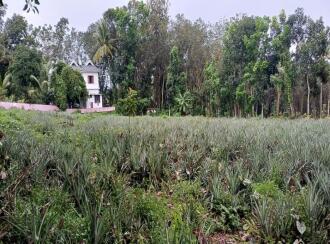 Residential Land for Sale in Kottayam, Ettumanoor, Ettumanoor, 200 Meters from Nambiakulam Junction, Ettumanoor