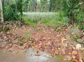 Residential Land for Sale in Kottayam, Ettumanoor, Ettumanoor, 200 Meters from Nambiakulam Junction, Ettumanoor