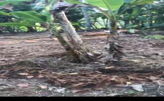 Residential Land for Sale in Ernakulam, Mulanthuruthy, Amballur, Amballur