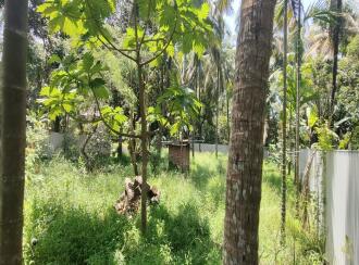 വാസയോഗ്യമായ ഭൂമി വില്പനയ്ക്ക് Thrissur, Vadanapally, Engadiyur, Elite padi