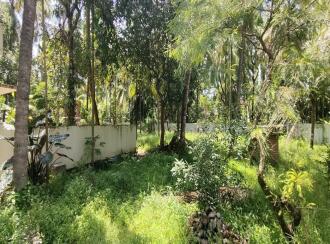 വാസയോഗ്യമായ ഭൂമി വില്പനയ്ക്ക് Thrissur, Vadanapally, Engadiyur, Elite padi