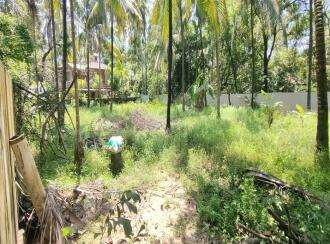 വാസയോഗ്യമായ ഭൂമി വില്പനയ്ക്ക് Thrissur, Vadanapally, Engadiyur, Elite padi