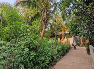 Residential Land, Palakkad