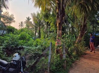 Residential Land for Sale in Palakkad, Alathur, Puthiyankam, Puthiyankam