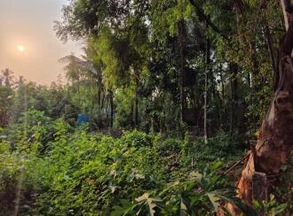 Residential Land for Sale in Palakkad, Alathur, Puthiyankam, Puthiyankam