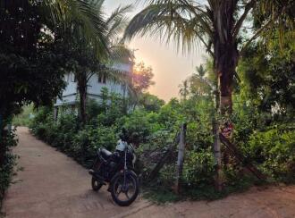 Residential Land for Sale in Palakkad, Alathur, Puthiyankam, Puthiyankam