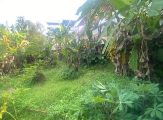 Residential Land for Sale in Ernakulam, Ernakulam town, Palarivattom