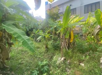 Residential Land for Sale in Ernakulam, Ernakulam town, Palarivattom