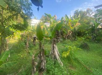 Residential Land for Sale in Ernakulam, Ernakulam town, Palarivattom