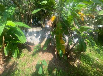 Residential Land for Sale in Ernakulam, Ernakulam town, Palarivattom