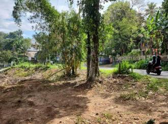 Residential Land for Sale in Kollam, Punalur, Nedumkayam, https://maps.app.goo.gl/LS6HYyPF8grqdjD26