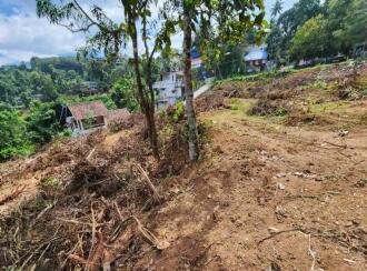 Residential Land for Sale in Kollam, Punalur, Nedumkayam, https://maps.app.goo.gl/LS6HYyPF8grqdjD26