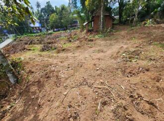 Residential Land for Sale in Kollam, Punalur, Nedumkayam, https://maps.app.goo.gl/LS6HYyPF8grqdjD26