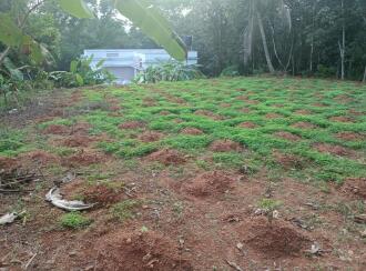 Residential Land for SaleKottayam, Kuravilangad, Kuravilangad