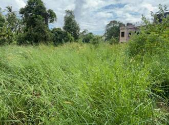 Residential Land for Sale in Thrissur, Thrissur, Athani, Near silks Athani