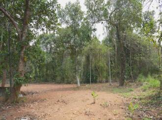 Residential Land for Sale in Thrissur, Irinjalakuda, Irinjalakuda, https://maps.app.goo.gl/DbTzSyfNDo5Qp7ZKA