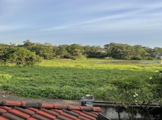 Residential House Villa for Sale in Kottayam, Perumbaikad, Perumbaikad