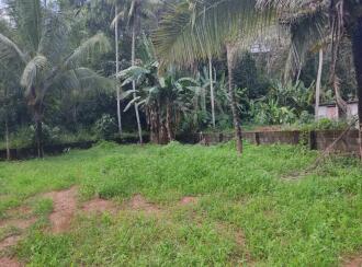 Residential Land for Sale in Kollam, Kottarakkara, Valakom, rhss valakom In Valakom Kottarakkara road Near SBI Bank and HP petrol pump