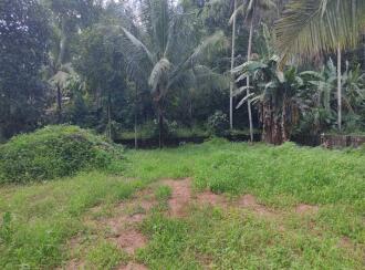 Residential Land for Sale in Kollam, Kottarakkara, Valakom, rhss valakom In Valakom Kottarakkara road Near SBI Bank and HP petrol pump