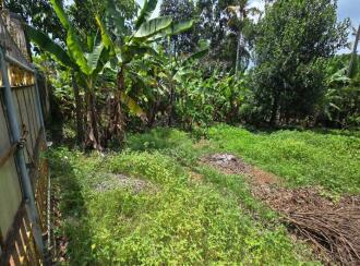 Residential Land for Sale in Kollam, Kollam, Karicode , Kollam -Kottarakkara road