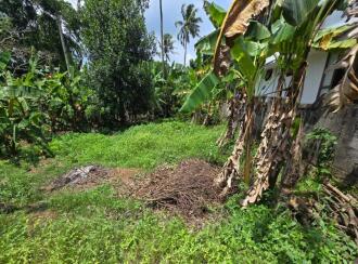 Residential Land for Sale in Kollam, Kollam, Karicode , Kollam -Kottarakkara road