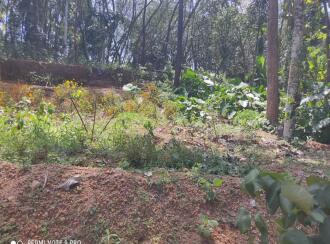 Residential Land for Sale in Kollam, Kollam, Kundara, near by peerayam mar thoma church mulavanapallimukku kollam