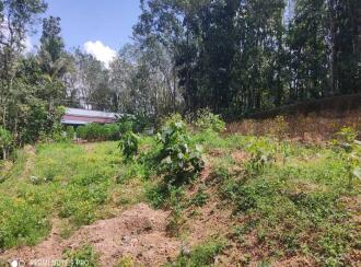 Residential Land for Sale in Kollam, Kollam, Kundara, near by peerayam mar thoma church mulavanapallimukku kollam