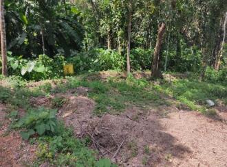 Residential Land for Sale in Kollam, Kollam, Kundara, near by peerayam mar thoma church mulavanapallimukku kollam