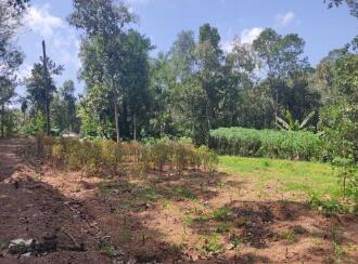 Residential Land for Sale in Kollam, Kollam, Kundara, near by peerayam mar thoma church mulavanapallimukku kollam