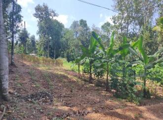 Residential Land for Sale in Kollam, Kollam, Kundara, near by peerayam mar thoma church mulavanapallimukku kollam