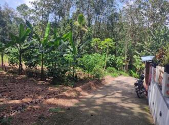 Residential Land for Sale in Kollam, Kollam, Kundara, near by peerayam mar thoma church mulavanapallimukku kollam