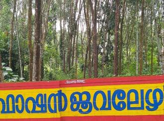 Residential Land for Sale in Ernakulam, Piravom, Piravom, BPC collage junction