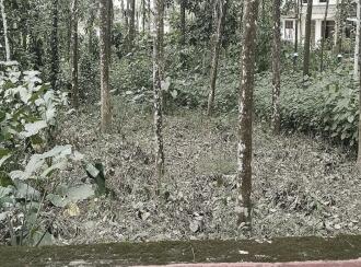 Residential Land for Sale in Ernakulam, Piravom, Piravom, BPC collage junction