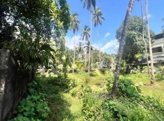 Residential Land for Sale in Malappuram, Malappuram, Munduparamba, Cheri road