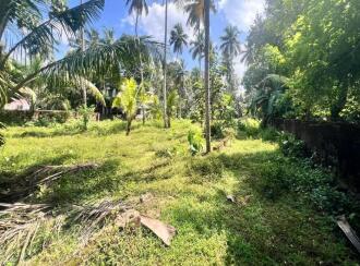 Residential Land for Sale in Malappuram, Malappuram, Munduparamba, Cheri road