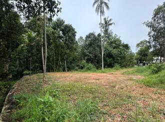 Commercial Land for Sale in Kottayam, Thalayolaparambu, Vettikkattumukku, Just opposite Vettikkattumukk Gurumandir