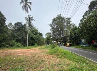 Commercial Land for Sale in Kottayam, Thalayolaparambu, Vettikkattumukku, Just opposite Vettikkattumukk Gurumandir